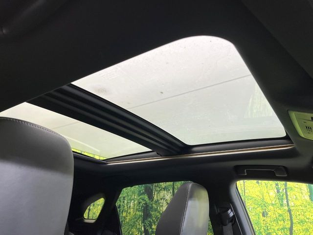 �y�T�����[�t�z�J���������Ղ�̊󏭑����A�T�����[�t����������Ă��܂�!�ԓ��ɖ�����������ꂽ��i�F���y���ވȊO�ɂ��A�ԓ��̋�C���ȒP�Ɋ��C�ł��ĉ��K�ł�!