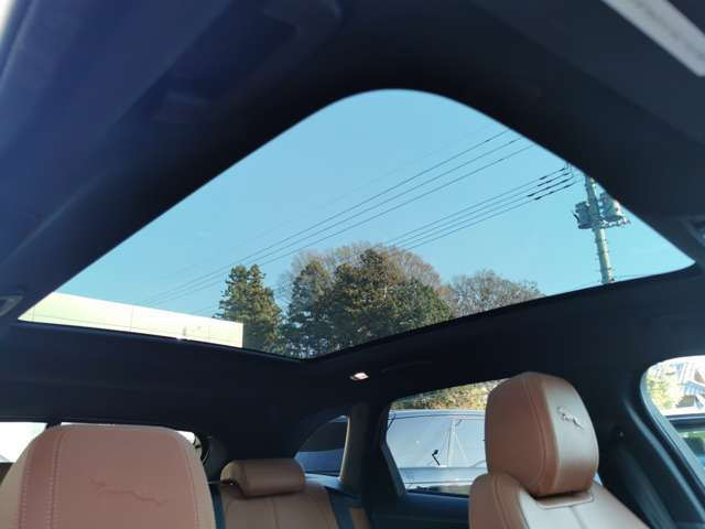 FペイスRダイナミック ブラック キュレーテッド フォー ジャパン  4WD