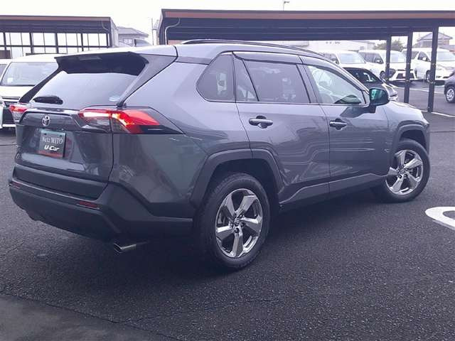 RAV42.0 X