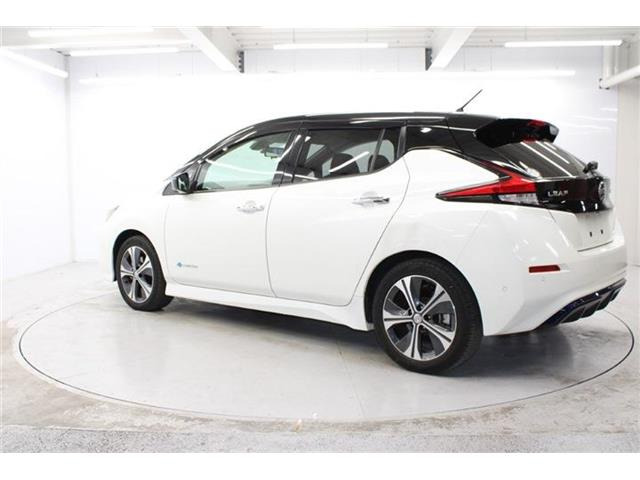 ���Ǝҗl�ւ̔̔��͂��f�肳���Ă��������܂��B �Ԍ������ԗ��̏ꍇ�́A�Ԍ����擾�������x�������z�ŕ\�����Ă���܂��B