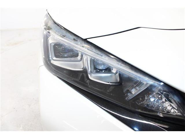 ���Ǝҗl�ւ̔̔��͂��f�肳���Ă��������܂��B �Ԍ������ԗ��̏ꍇ�́A�Ԍ����擾�������x�������z�ŕ\�����Ă���܂��B