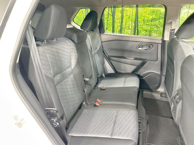 �㕔���Ȃ��C�ɂȂ�悤�ȃL�Y�E�����ւ��蓙�A�傫�ȃ_���[�W�͂Ȃ��A�ǍD�ȏ�Ԃł��B