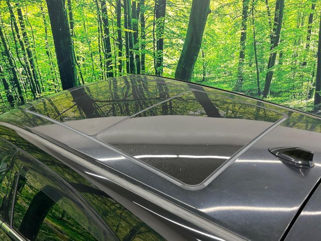 �y�T�����[�t�z�J���������Ղ�̊󏭑����A�T�����[�t����������Ă��܂�!�ԓ��ɖ�����������ꂽ��i�F���y���ވȊO�ɂ��A�ԓ��̋�C���ȒP�Ɋ��C�ł��ĉ��K�ł�!