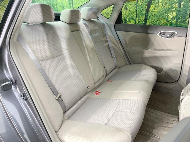 �㕔���Ȃ��C�ɂȂ�悤�ȃL�Y�E�����ւ��蓙�A�傫�ȃ_���[�W�͂Ȃ��A�ǍD�ȏ�Ԃł��B