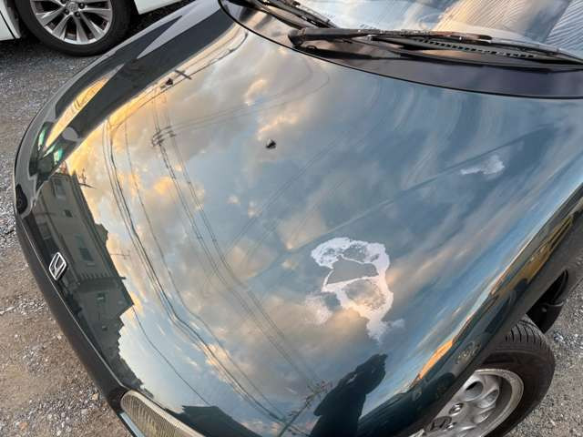 �݌ɂɂȂ����Ԃ͑S���Z������A�e�f�B�[���[���񂩂�̒��ڎd����ɂ�肨���������i�ɂĂ��Љ���\�ł�!���C�y�ɂ��\���t��������!