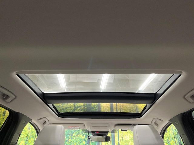 �y�T�����[�t�z�J���������Ղ�̊󏭑����A�T�����[�t����������Ă��܂�!�ԓ��ɖ�����������ꂽ��i�F���y���ވȊO�ɂ��A�ԓ��̋�C���ȒP�Ɋ��C�ł��ĉ��K�ł�!