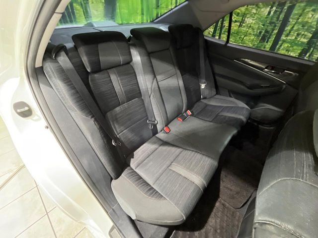 �㕔���Ȃ��C�ɂȂ�悤�ȃL�Y�E�����ւ��蓙�A�傫�ȃ_���[�W�͂Ȃ��A�ǍD�ȏ�Ԃł��B