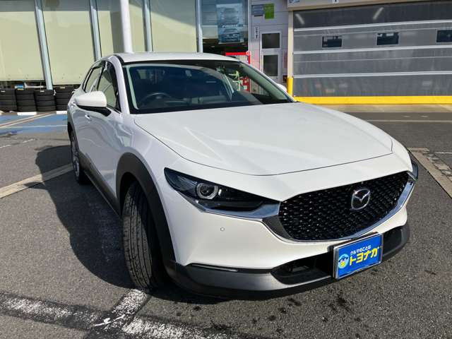 CX-301.8 XD Lパッケージ 4WD
