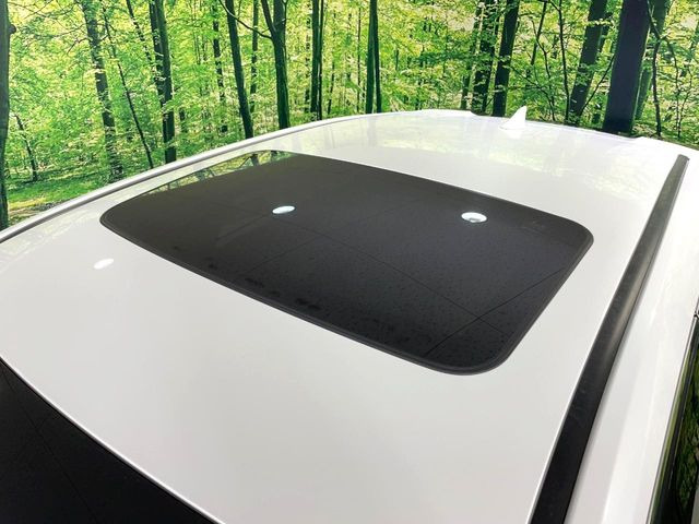 �y�T�����[�t�z�J���������Ղ�̊󏭑����A�T�����[�t����������Ă��܂�!�ԓ��ɖ�����������ꂽ��i�F���y���ވȊO�ɂ��A�ԓ��̋�C���ȒP�Ɋ��C�ł��ĉ��K�ł�!