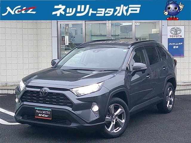 RAV42.0 X