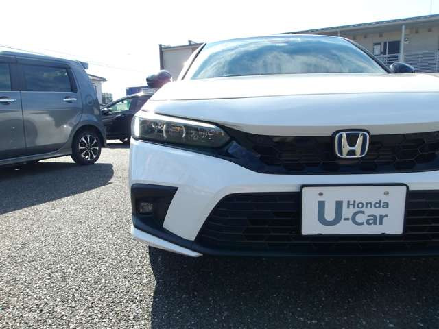 �Ԃ̍w�������ł͂Ȃ��A�u�Ԍ��␮���̂݁v�ł̂����X���劽�}�ł���