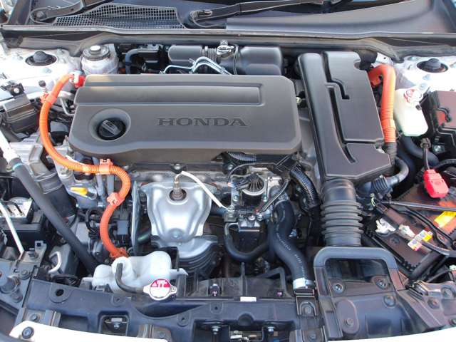 �����q�l�������̂��Ԃ̍���������Ē����܂�!