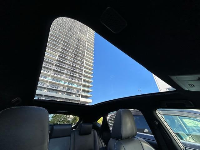 NX300 Fスポーツ 4WD