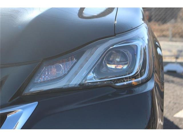 �����X�o���Ȃ����q�l�A���Ǝҗl�ւ̔̔��͂��f�肳���Ă��������܂��B�Ԍ������ԗ��̏ꍇ�́A�Ԍ����擾�������x�������z�ŕ\�����Ă���܂��B