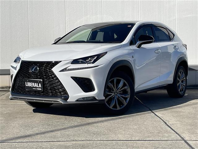 NX300 Fスポーツ 4WD