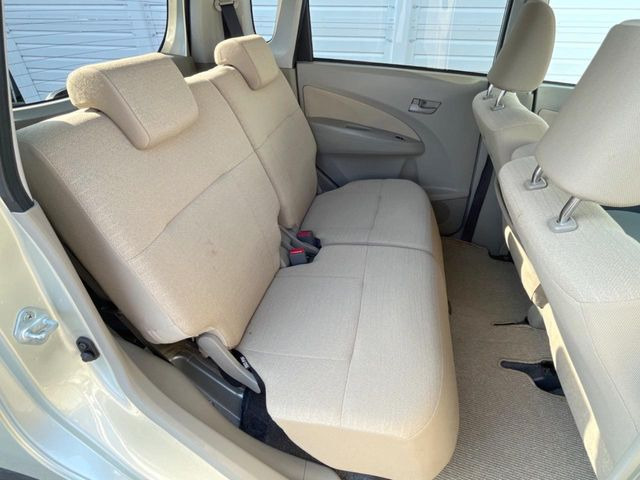 �㕔���Ȃ��C�ɂȂ�悤�ȃL�Y�E�����ւ��蓙�A�傫�ȃ_���[�W�͂Ȃ��A�ǍD�ȏ�Ԃł��B