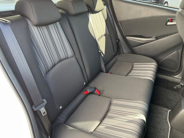 �㕔���Ȃ��C�ɂȂ�悤�ȃL�Y�E�����ւ��蓙�A�傫�ȃ_���[�W�͂Ȃ��A�ǍD�ȏ�Ԃł��B