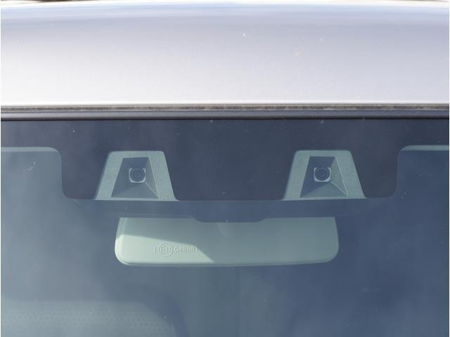 ハスラータフワイルド