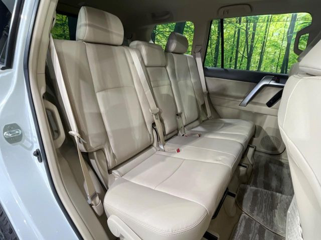 �㕔���Ȃ��C�ɂȂ�悤�ȃL�Y�E�����ւ��蓙�A�傫�ȃ_���[�W�͂Ȃ��A�ǍD�ȏ�Ԃł��B