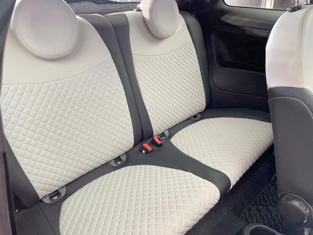 ���㕔���Ȃ��C�ɂȂ�悤�ȃL�Y�E�����ւ��蓙�A�傫�ȃ_���[�W�͂Ȃ��A�ǍD�ȏ�Ԃł��B