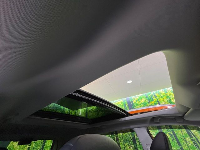 �y�T�����[�t�z�J���������Ղ�̊󏭑����A�T�����[�t����������Ă��܂�!�ԓ��ɖ�����������ꂽ��i�F���y���ވȊO�ɂ��A�ԓ��̋�C���ȒP�Ɋ��C�ł��ĉ��K�ł�!