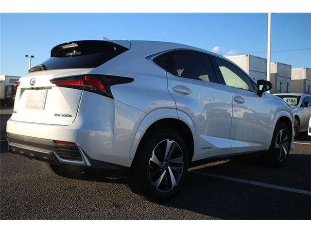 ���Ǝҗl�ւ̔̔��͂��f�肳���Ă��������܂��B �Ԍ������ԗ��̏ꍇ�́A�Ԍ����擾�������x�������z�ŕ\�����Ă���܂��B