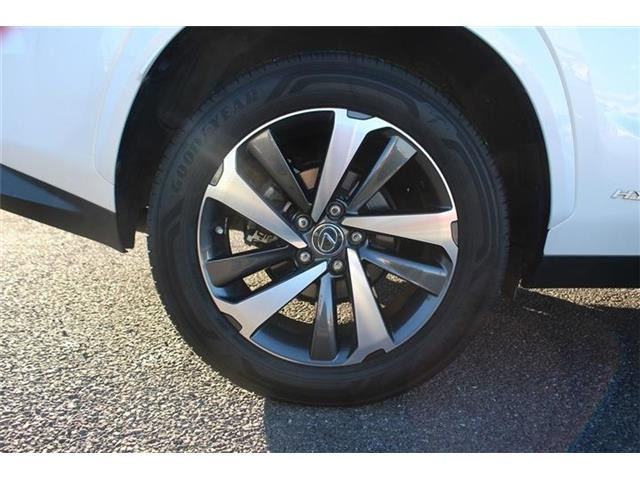 ���Ǝҗl�ւ̔̔��͂��f�肳���Ă��������܂��B �Ԍ������ԗ��̏ꍇ�́A�Ԍ����擾�������x�������z�ŕ\�����Ă���܂��B