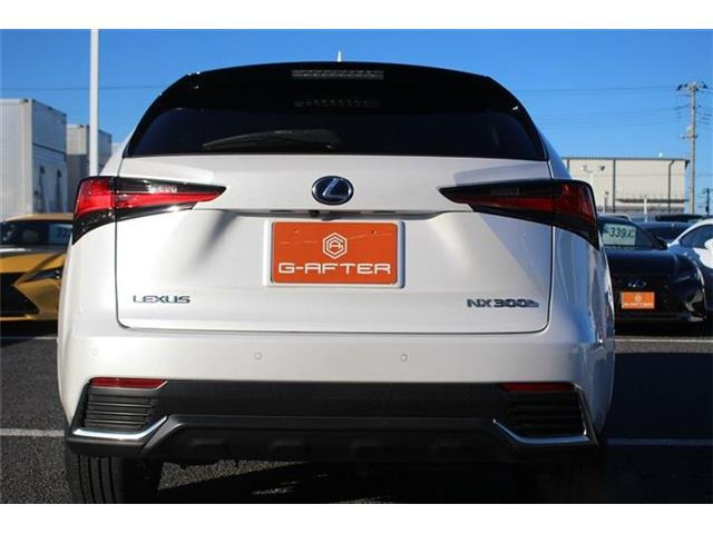 ���Ǝҗl�ւ̔̔��͂��f�肳���Ă��������܂��B �Ԍ������ԗ��̏ꍇ�́A�Ԍ����擾�������x�������z�ŕ\�����Ă���܂��B