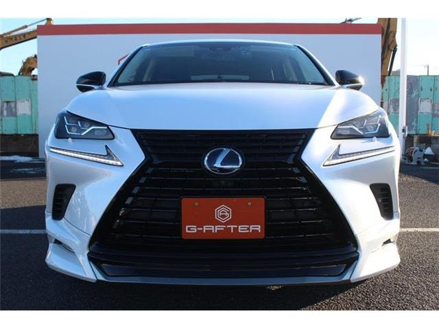 ���Ǝҗl�ւ̔̔��͂��f�肳���Ă��������܂��B �Ԍ������ԗ��̏ꍇ�́A�Ԍ����擾�������x�������z�ŕ\�����Ă���܂��B