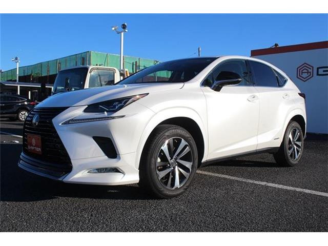 ���Ǝҗl�ւ̔̔��͂��f�肳���Ă��������܂��B �Ԍ������ԗ��̏ꍇ�́A�Ԍ����擾�������x�������z�ŕ\�����Ă���܂��B