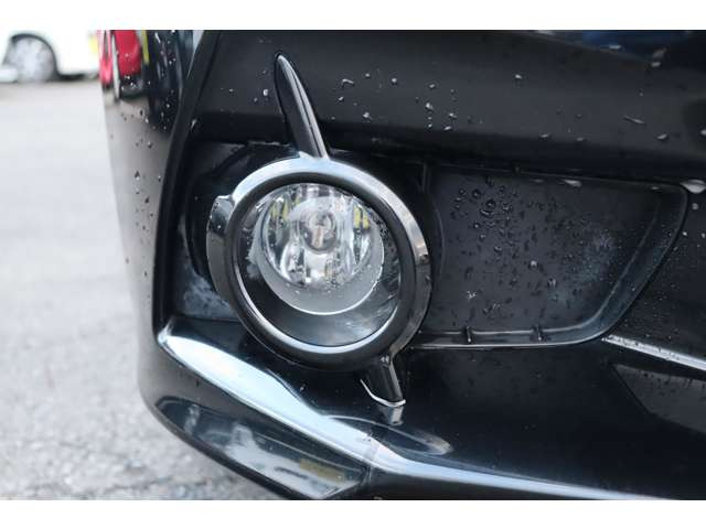 �t�H�O�����v�������c