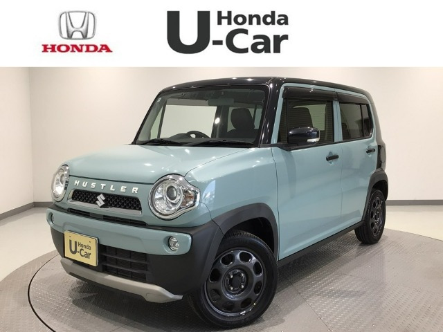 ハスラータフワイルド