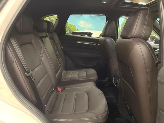 �㕔���Ȃ��C�ɂȂ�悤�ȃL�Y�E�����ւ��蓙�A�傫�ȃ_���[�W�͂Ȃ��A�ǍD�ȏ�Ԃł��B