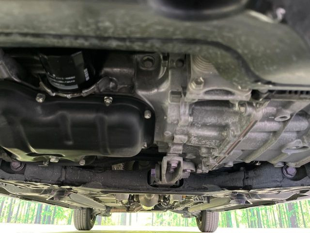 ����肪���ꂢ�Ȃ����ɁA�h�K���H�̎{�H���I�X�X���B�~��n��͂������A���ݕ��ɂ��Z���̕���A��Ń}�����E�E�B���^�[�X�|�[�c���������ɂ��D�]���������Ă���܂��B