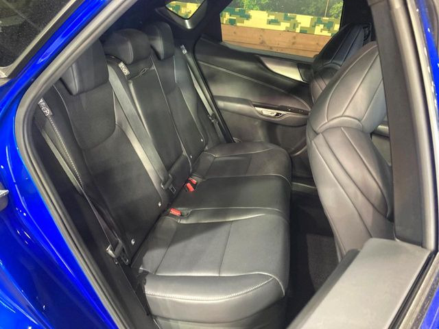 �㕔���Ȃ��C�ɂȂ�悤�ȃL�Y�E�����ւ��蓙�A�傫�ȃ_���[�W�͂Ȃ��A�ǍD�ȏ�Ԃł��B