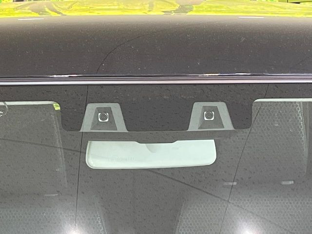 ハスラータフワイルド