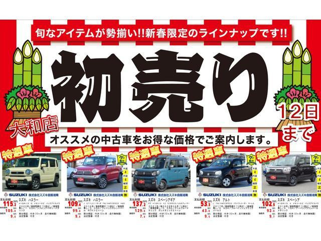 クロスビー1.0 ハイブリッド(HYBRID) MV