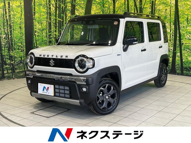 ハスラータフワイルド