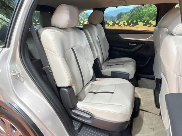 �㕔���Ȃ��C�ɂȂ�悤�ȃL�Y�E�����ւ��蓙�A�傫�ȃ_���[�W�͂Ȃ��A�ǍD�ȏ�Ԃł��B