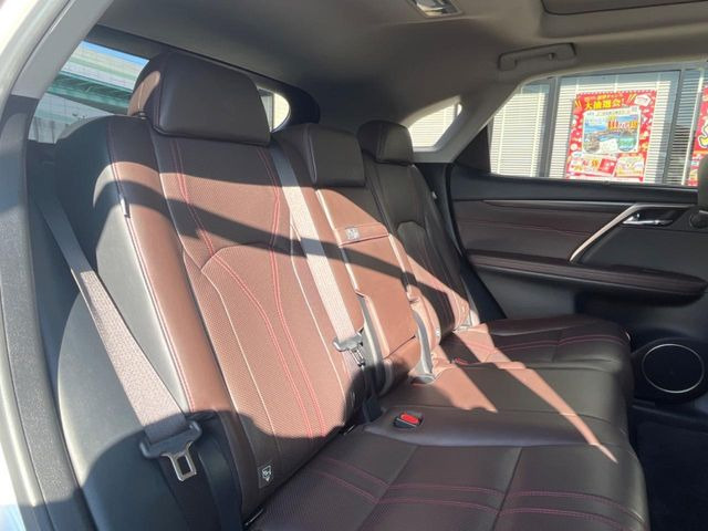 �㕔���Ȃ��C�ɂȂ�悤�ȃL�Y�E�����ւ��蓙�A�傫�ȃ_���[�W�͂Ȃ��A�ǍD�ȏ�Ԃł��B