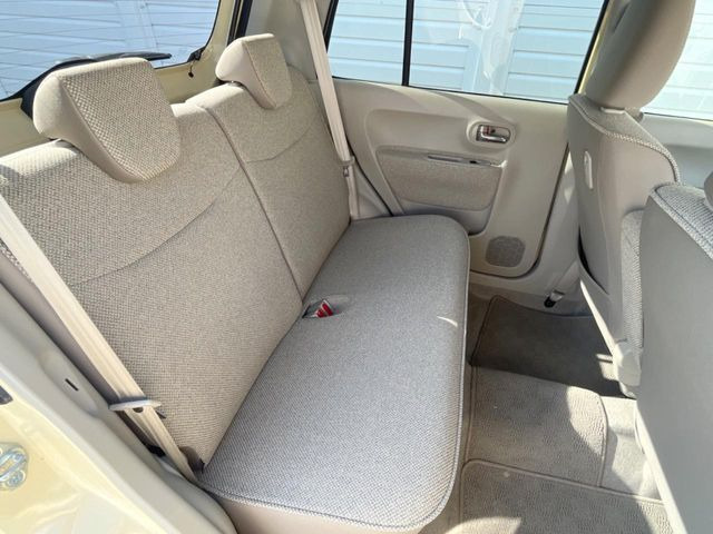 �㕔���Ȃ��C�ɂȂ�悤�ȃL�Y�E�����ւ��蓙�A�傫�ȃ_���[�W�͂Ȃ��A�ǍD�ȏ�Ԃł��B