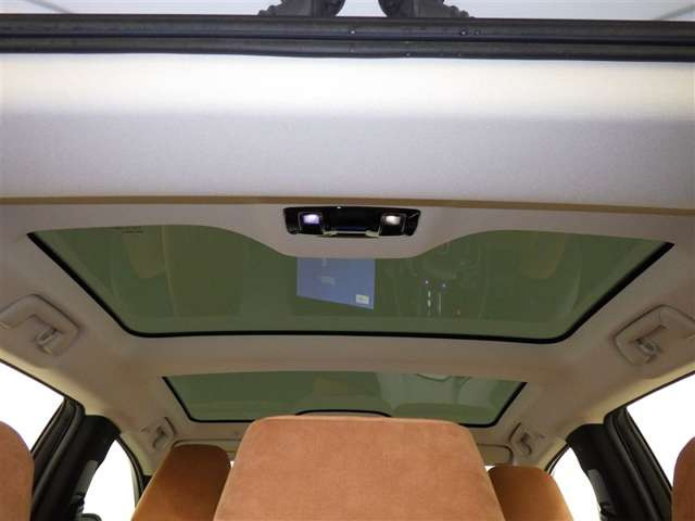 RZ300e バージョンL