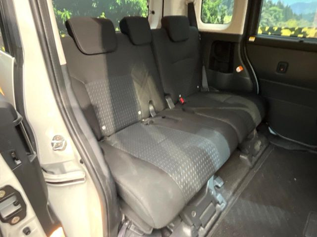 �㕔���Ȃ��C�ɂȂ�悤�ȃL�Y�E�����ւ��蓙�A�傫�ȃ_���[�W�͂Ȃ��A�ǍD�ȏ�Ԃł��B