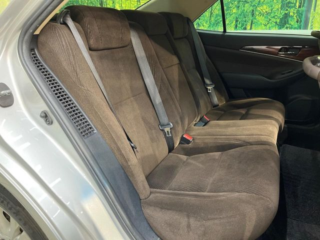 �㕔���Ȃ��C�ɂȂ�悤�ȃL�Y�E�����ւ��蓙�A�傫�ȃ_���[�W�͂Ȃ��A�ǍD�ȏ�Ԃł��B