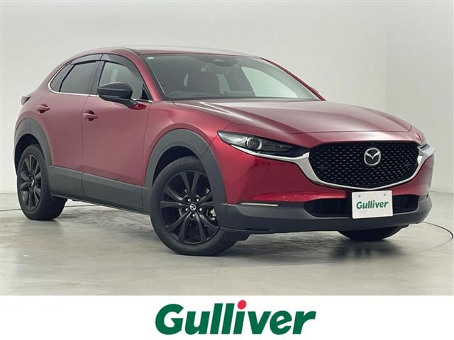 CX-301.8 XD ブラックトーンエディション