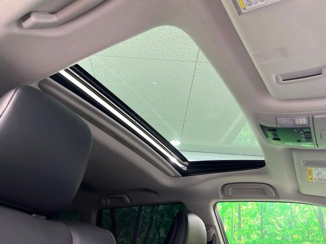 �y�T�����[�t�z�J���������Ղ�̊󏭑����A�T�����[�t����������Ă��܂�!�ԓ��ɖ�����������ꂽ��i�F���y���ވȊO�ɂ��A�ԓ��̋�C���ȒP�Ɋ��C�ł��ĉ��K�ł�!