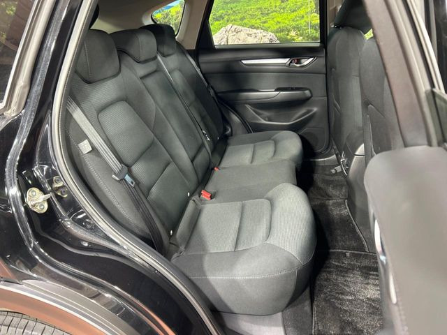 �㕔���Ȃ��C�ɂȂ�悤�ȃL�Y�E�����ւ��蓙�A�傫�ȃ_���[�W�͂Ȃ��A�ǍD�ȏ�Ԃł��B