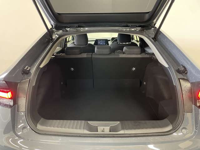 �L�X�Ƃ�����ԂŁA��y�ɂ��ו����o������\�ł�!!