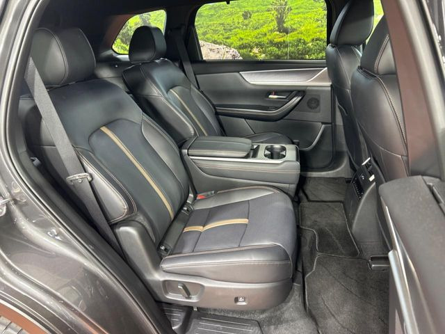 �㕔���Ȃ��C�ɂȂ�悤�ȃL�Y�E�����ւ��蓙�A�傫�ȃ_���[�W�͂Ȃ��A�ǍD�ȏ�Ԃł��B