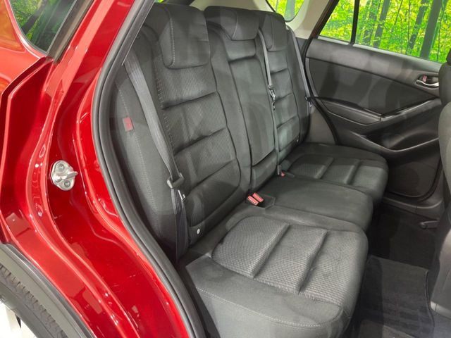 �㕔���Ȃ��C�ɂȂ�悤�ȃL�Y�E�����ւ��蓙�A�傫�ȃ_���[�W�͂Ȃ��A�ǍD�ȏ�Ԃł��B